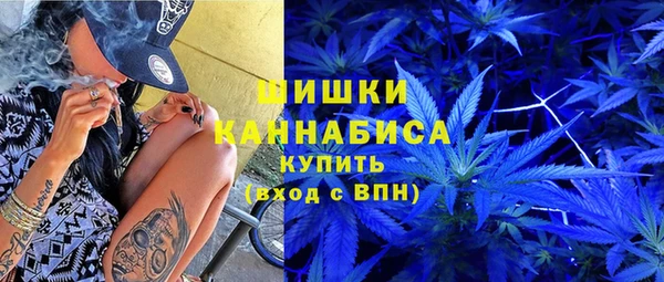 прущие грибы Балахна