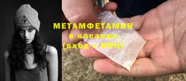 прущие грибы Балахна