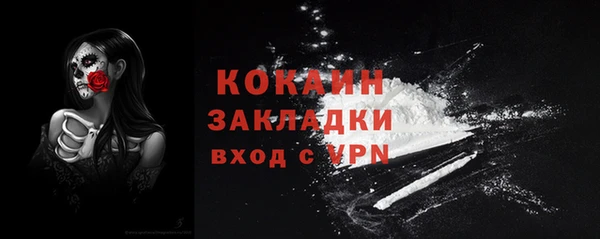 прущие грибы Балахна