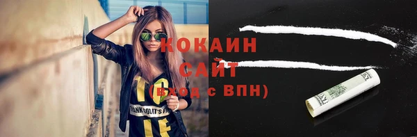 прущие грибы Балахна
