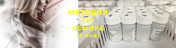 прущие грибы Балахна