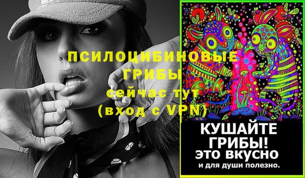 прущие грибы Балахна