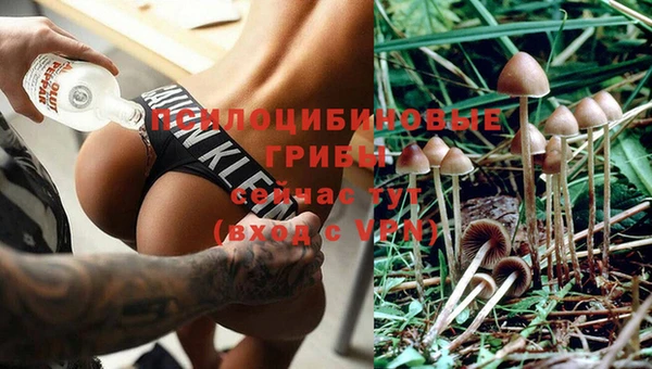 прущая мука Баксан