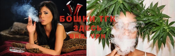 прущие грибы Балахна