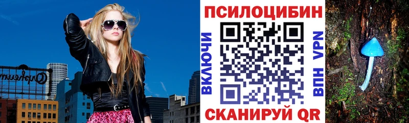 дарнет шоп  Щёкино  Псилоцибиновые грибы GOLDEN TEACHER 