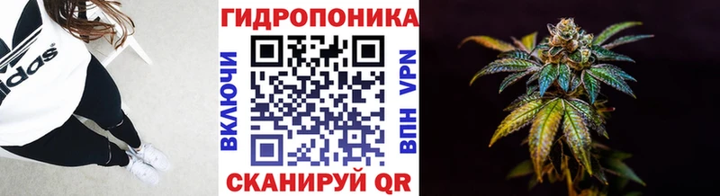 Канабис конопля  Щёкино 
